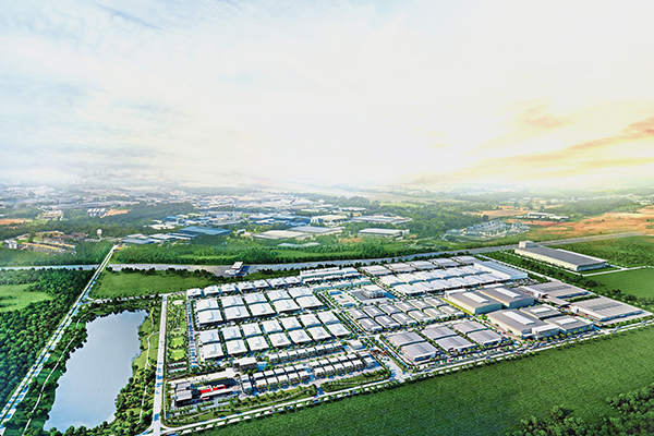 Máquina cortadora Co., Ltd de Tai'an
